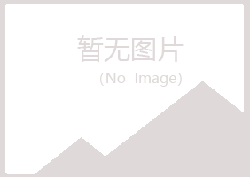 庆阳夏岚能源有限公司